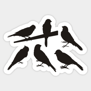 Singing Pet Bird Silhouettes Black Sticker